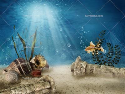 تصویر با کیفیت موجودات زیر دریا 